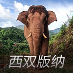 泰晤士：拉什福德腿筋受伤将缺席数周，球员维拉生涯可能已经结束